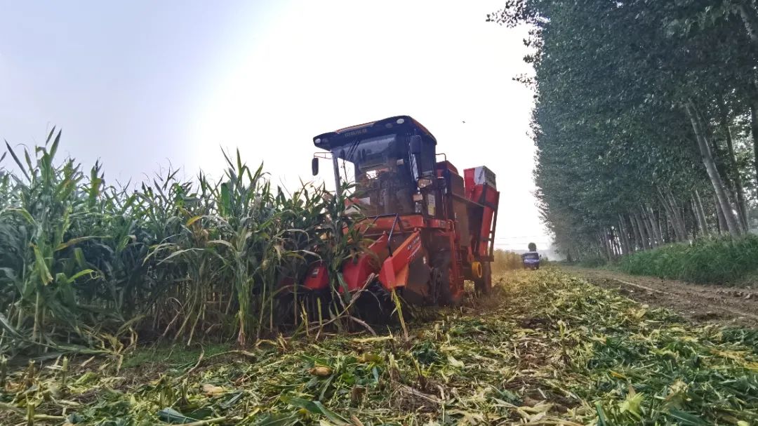 響應(yīng)“一帶一路”中聯(lián)收獲再次走出國門 726-1.jpg