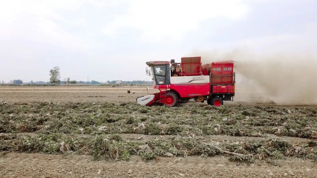 泰安東平呂新春：一小時(shí)作業(yè)十二畝 信賴(lài)中聯(lián)日進(jìn)斗金(圖2)